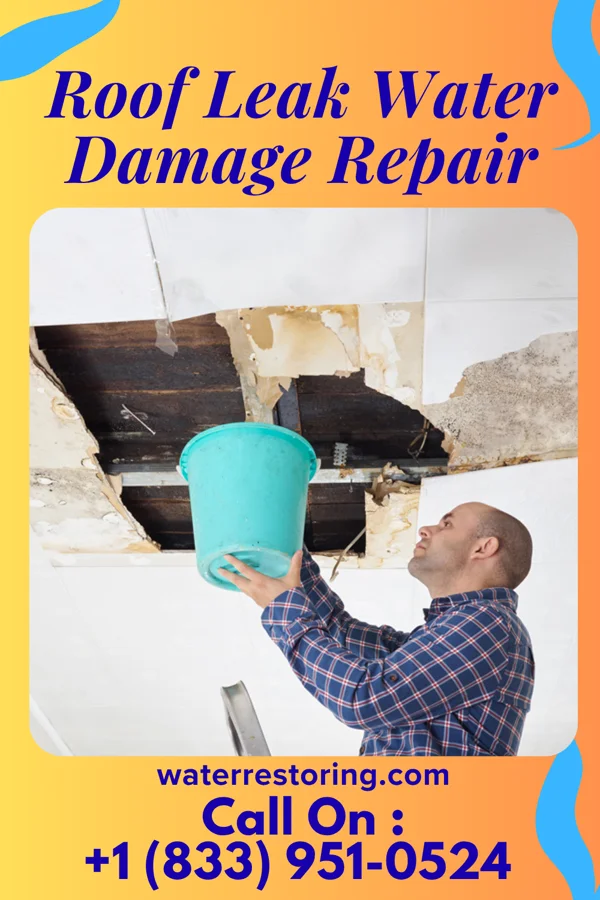 Roof Leak Water Damage Repair in Elton, LA