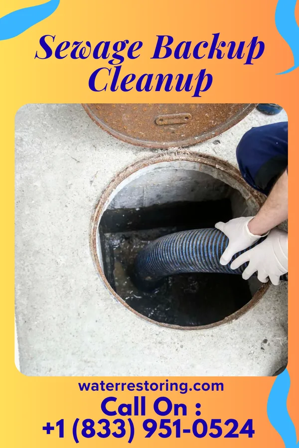 Sewage Backup Cleanup in Elton, LA